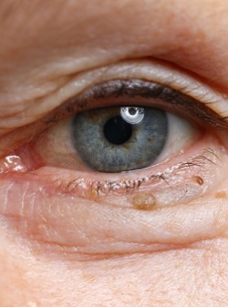 old woman eye closeup pojrtrait picture id1205718789