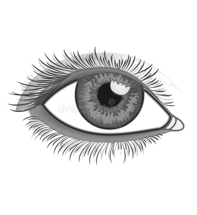 Illustration of a detailed human eye with long eyelashes and a textured iris on a white background. The grayscale design creates a realistic and focused tone.
